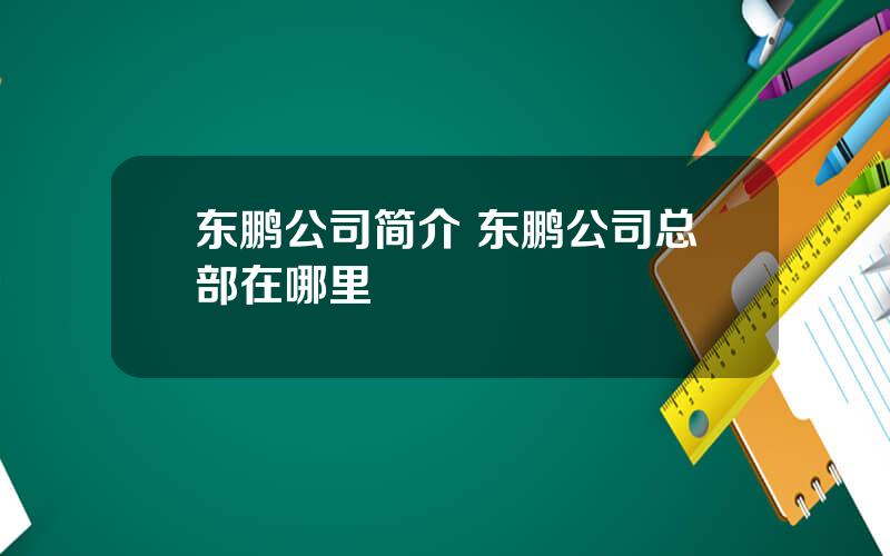 东鹏公司简介 东鹏公司总部在哪里